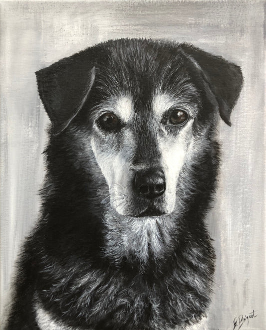 Un portrait animalier en Noir et Blanc