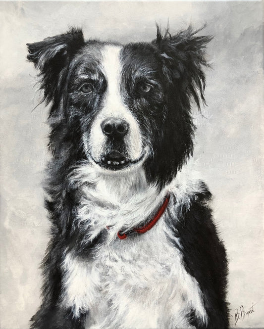 Un portrait animalier en Noir et Blanc