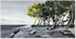 Impression sur papier d'art du tableau "La pointe à l'arbre d'or" de Bénédicte Brigeot artiste peintre à Noirmoutier